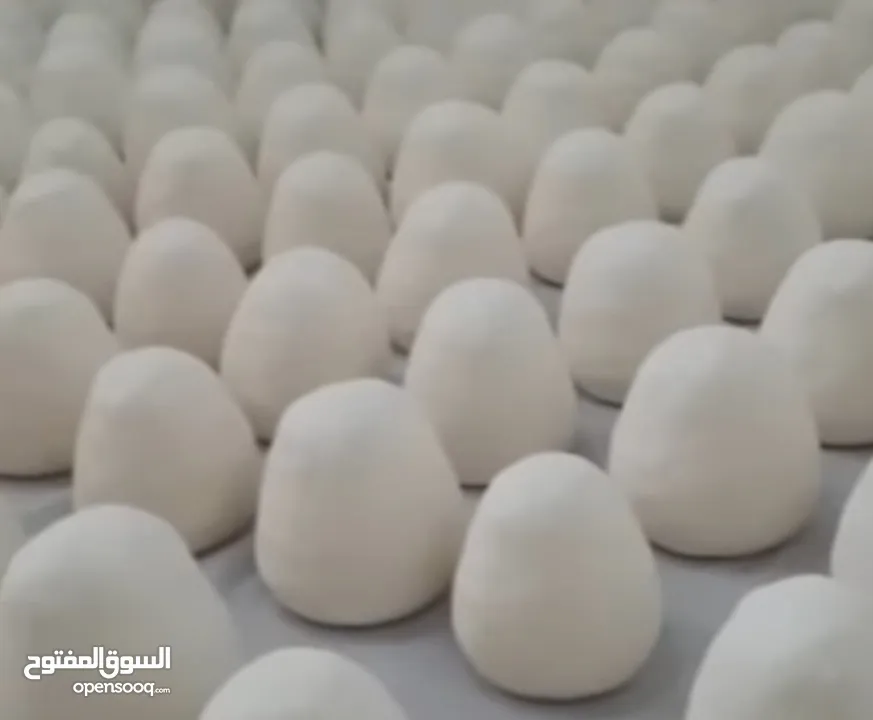 جميد كركي وسمن بلدي مكفول سعر كيلو الجميد 10دنانير سعر كيلو السمنه 10دنانير الجبنه الكيلو 6 دنانير