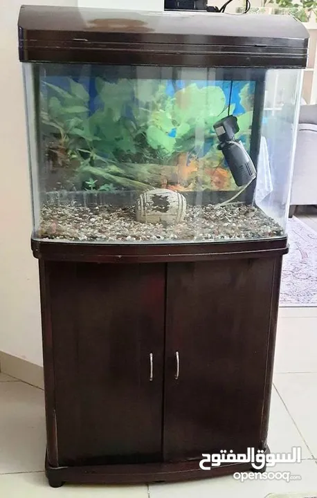 Aquarium with external filter for sweet/salt water by whats app in Description