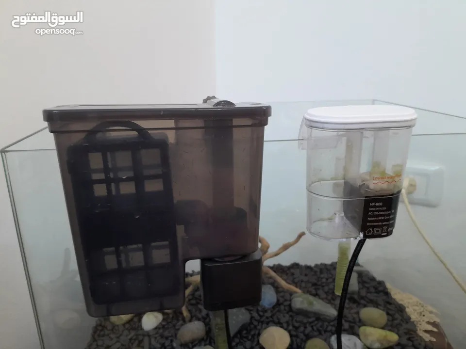 حوض سمك كريستال