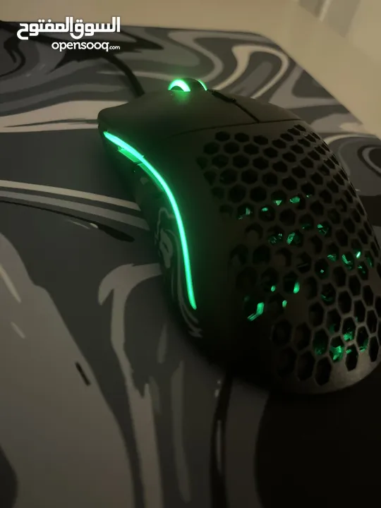 Mouse glorious