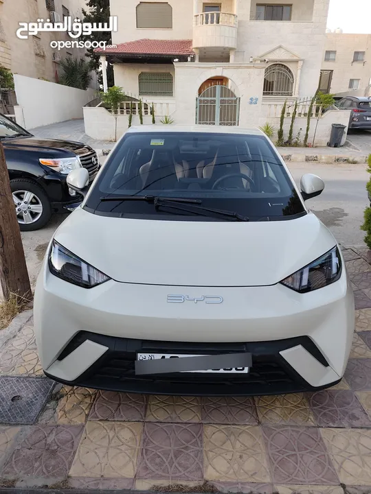 BYD سيجال 2023 ممشى 9000 كيلو بحال الشركة فل الفل