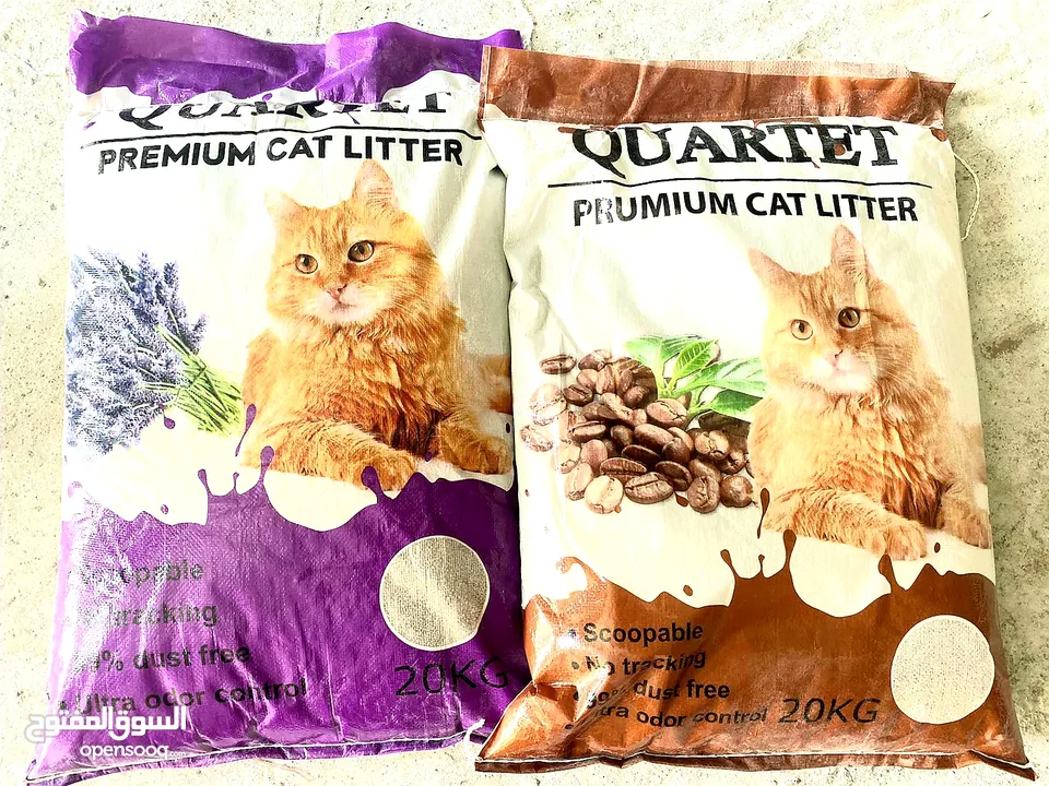 "Pet Cat Food,Cat Litter & Accessories"