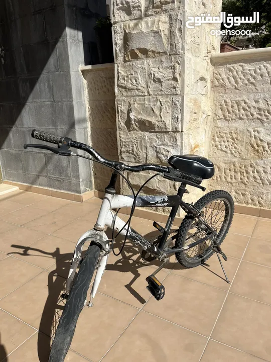 دراجة هوائية/بسكليت