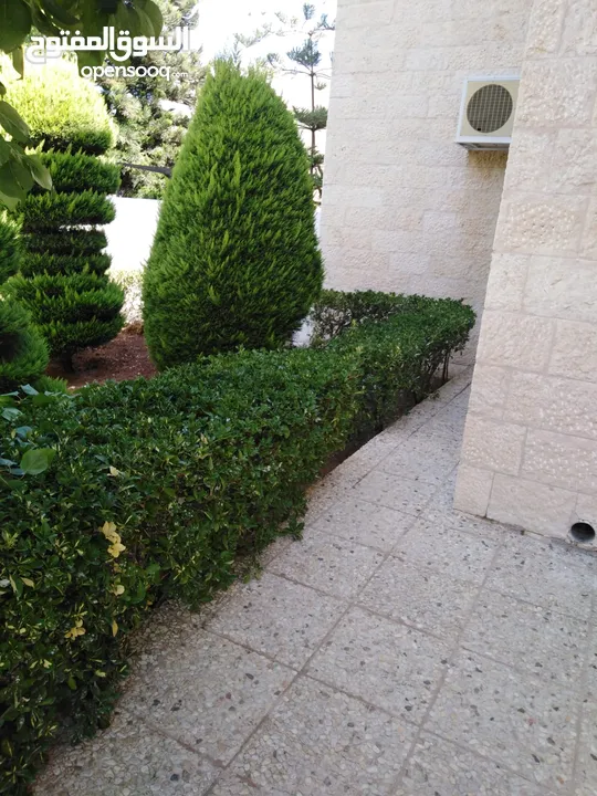 FOR RENT semi detached villa