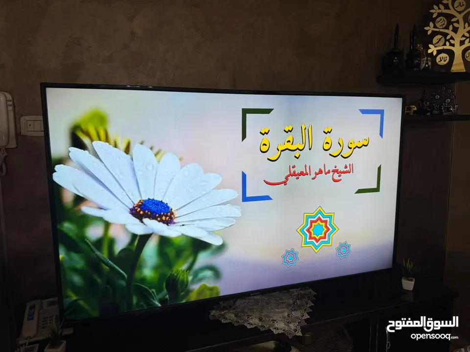 تلفزيون بحالة الوكالة