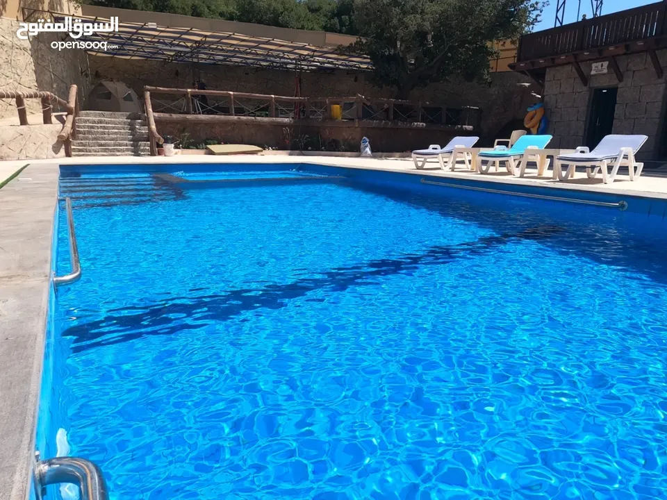 شالية رمسيس  Ramesses Chalet وسط اجمل غابات عجلون أطلالة بانورامية