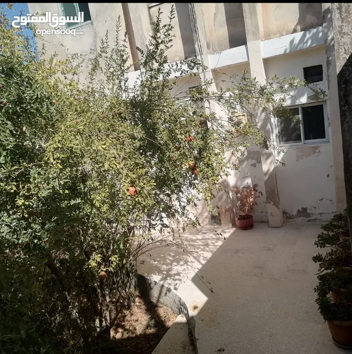 بيت مستقل طابقين / أجمل اطلالة على جبال عجلون في لواء كفرنجه ( اقرأ الوصف بالإعلان)...