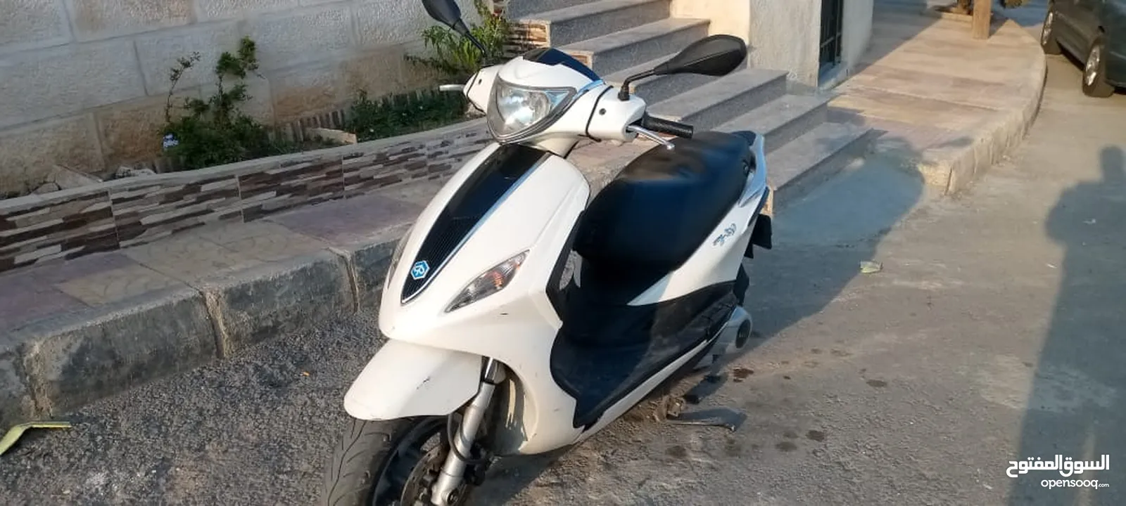 بياجو فلاي 2015