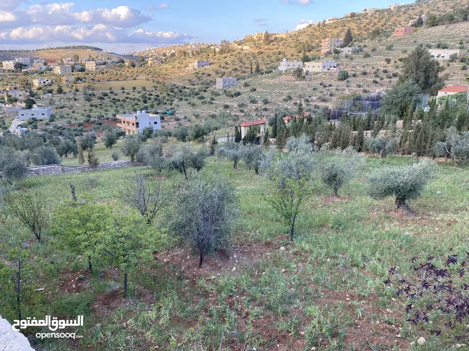 مزرعة 4 دنمات للبيع في جرش - المصطبة