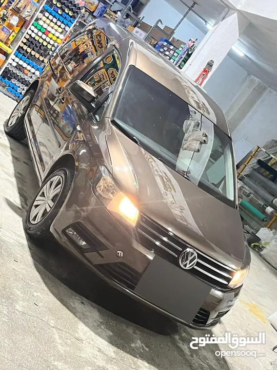 كادي شصي قصير