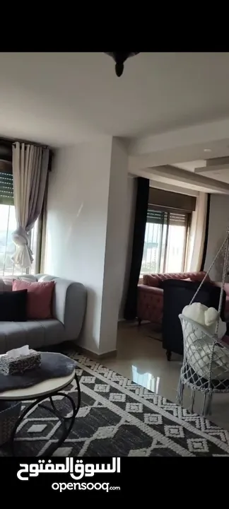 روف بسردا بسعر مرتب