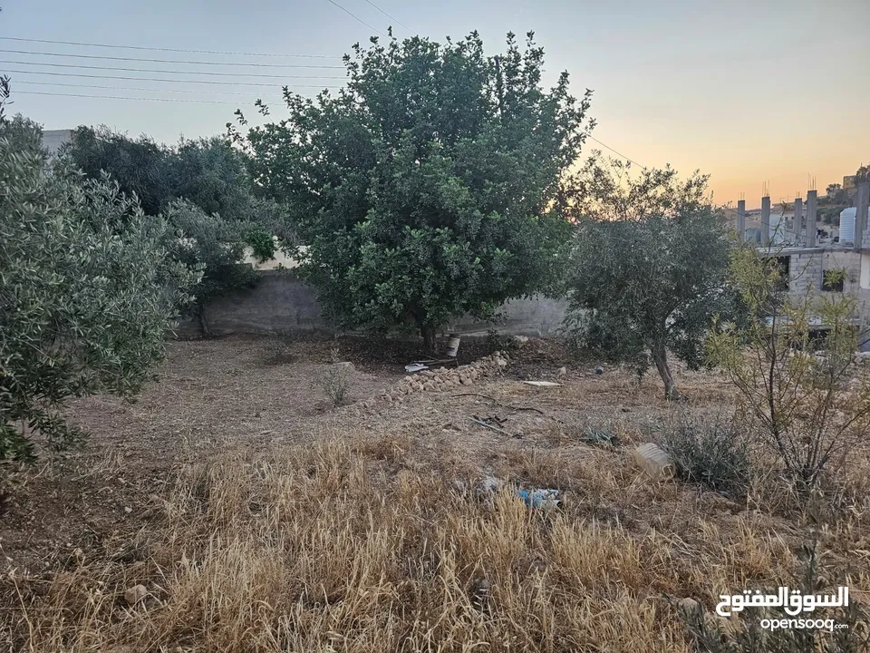 منزل مستقل لبيع في ذيبان