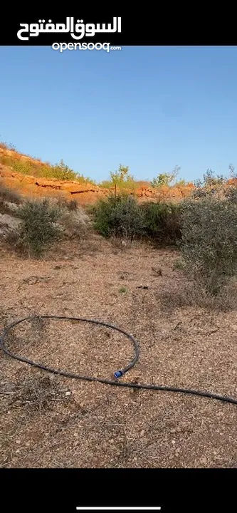 ارض في قربه النبي الياس