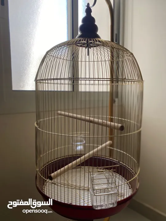 New Large Bird Cage  قفص طيور كبير جديد