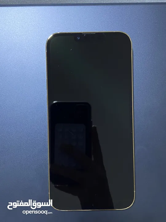 iphone 13 pro max 1TB