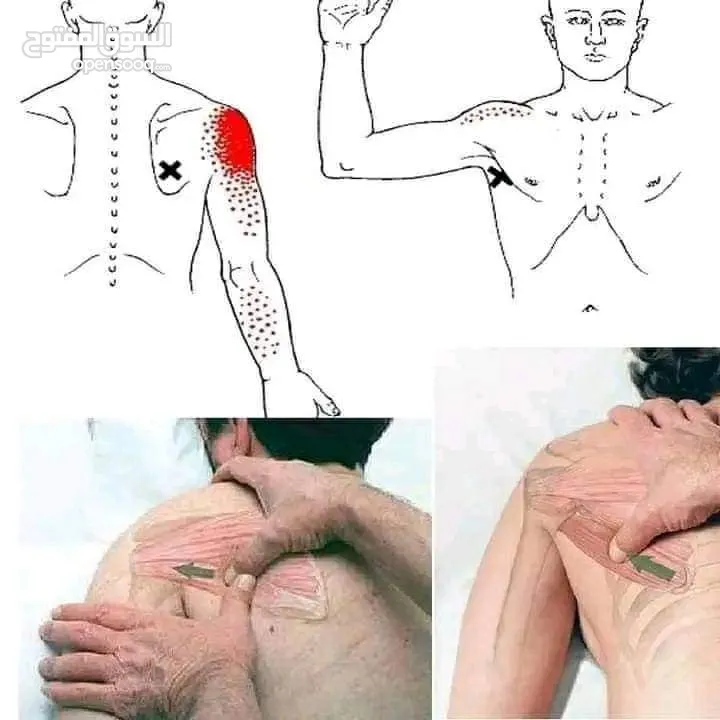 مدرب لياقه بدنيه وبناء أجسام ومدرب سباحه