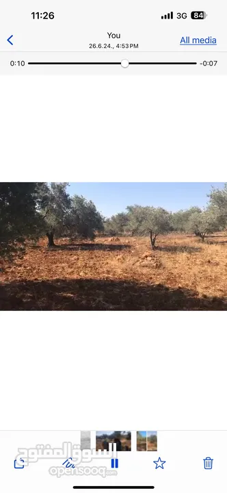 أرض للبيع جميلة ومليئة بأشجار الزيتون
