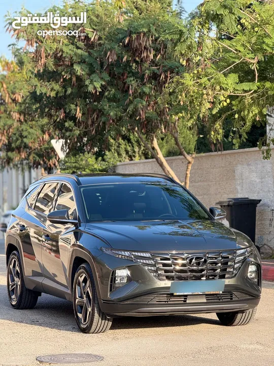 توسان ترخيص2023.فل عدا فتحه .فحص نخب.هايبرد..رام لله او الخليل.