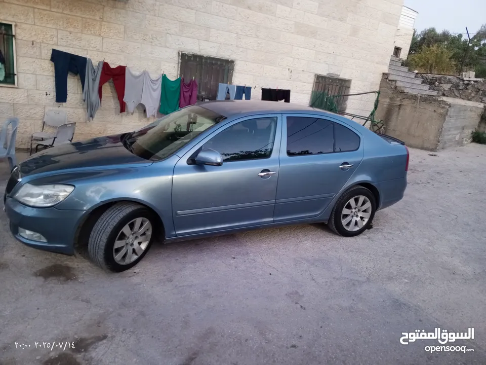 سكودا  اوكتافيا رمش