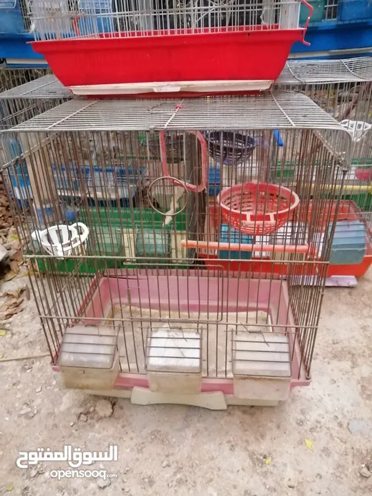 قفص ببغاء كبير يتسع لأكثر من طير مستعمل نظيف