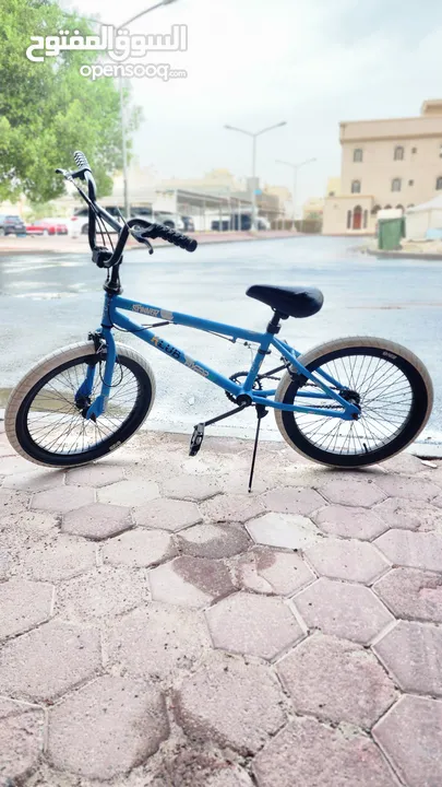 BMX X 360 .X rated spine BMX bike with rear pegs 360 hand 253588449