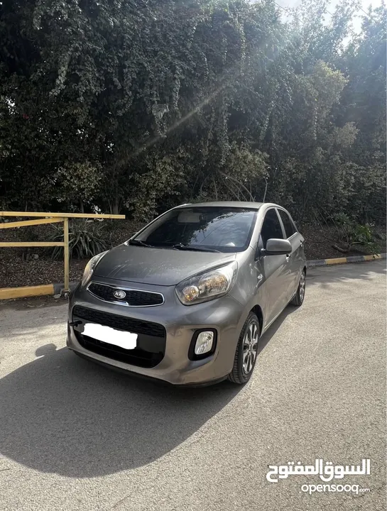 بيكانتو 2016 بصمة ولا ضربة ترخيص تأمين سنة سعررررر حررررق