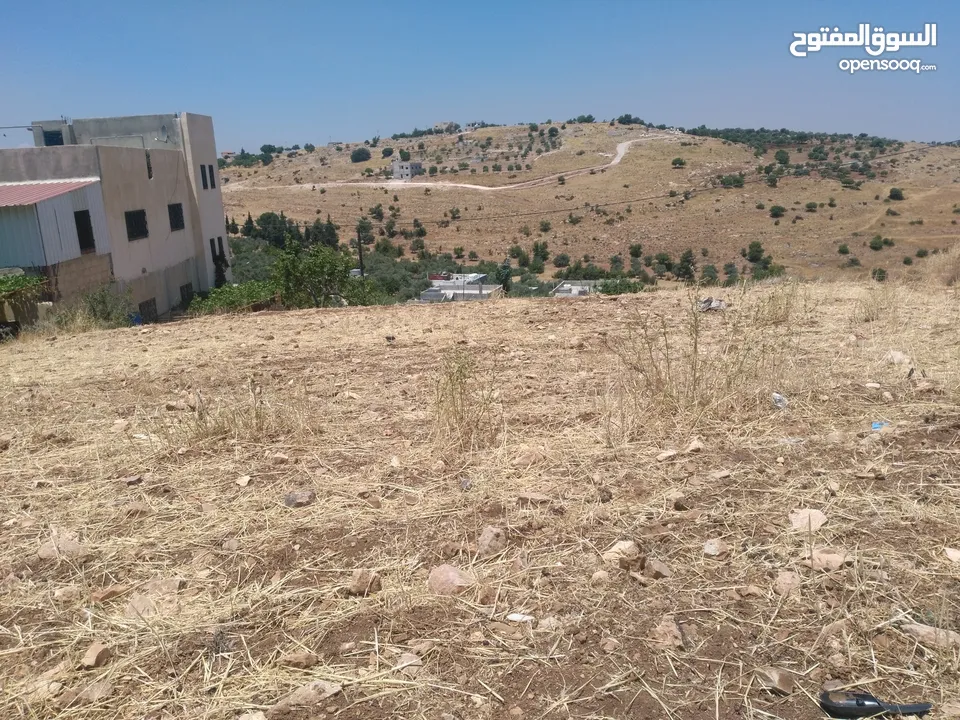 ارض للبيع في عجلون (صخرة)