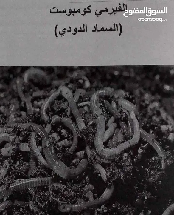 دود فيرمي كومبوست خليط بين دود الريدويجلر ودود التايجر وورم