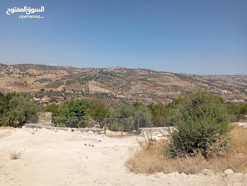 ارض مميزة مطلة ابو السوس غرب عمان عدة قطع في المنطقة.
