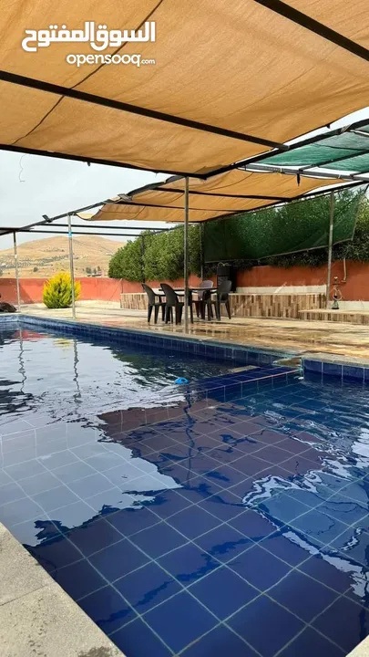 مزرعة وشاليه الباشا