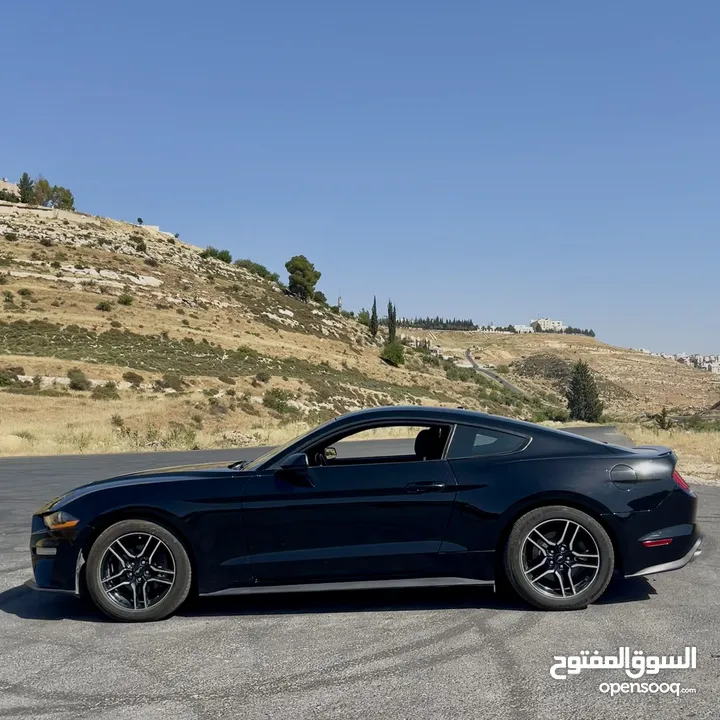 Ford Mustang 2019 Ecoboost 2.3 10 speed Low mileage