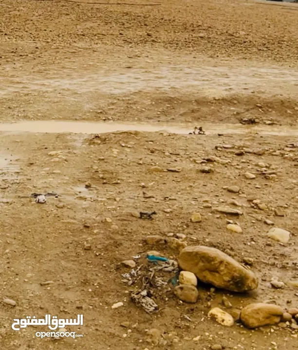 ارض مساحة 1600 متر مربع للبيع تصنيف أ في بلدة العوجا الهادئة الجميلة
