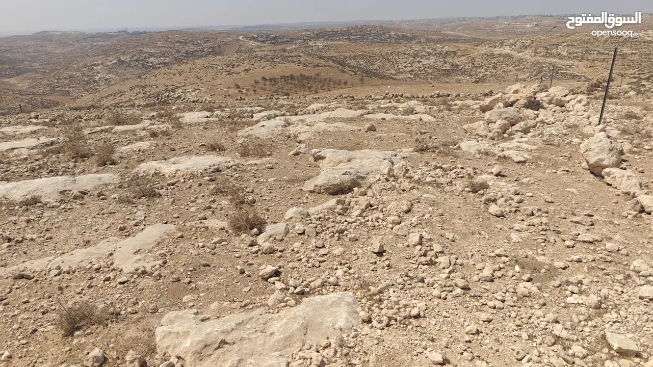 ارض للبيع في منطقه السموع تصنيف الف
