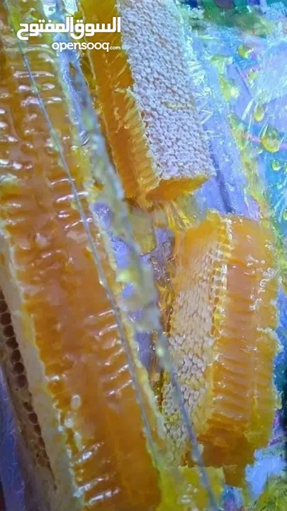 عسل طبيعي بلدي اصلي مضمون ومكفول 100٪؜ من مناحلنا