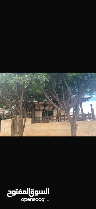 شقه طابق ارضي للبيع البنيات خلف جامعة البترا