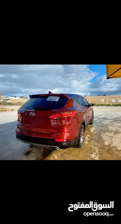 سنتافي 2016 sport