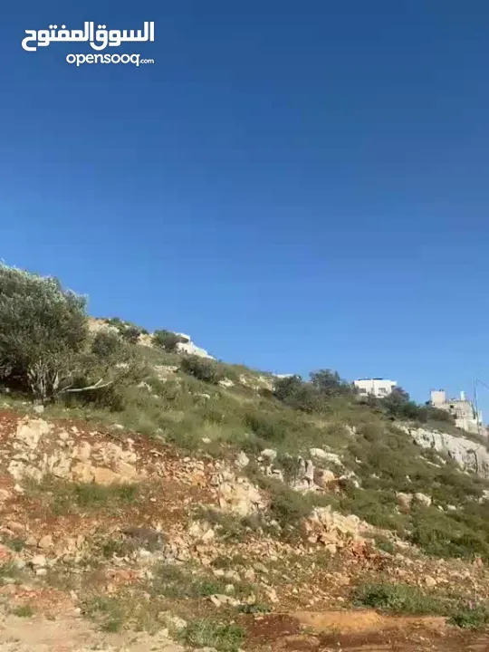 ارض للبيع في نابلس الجديدة