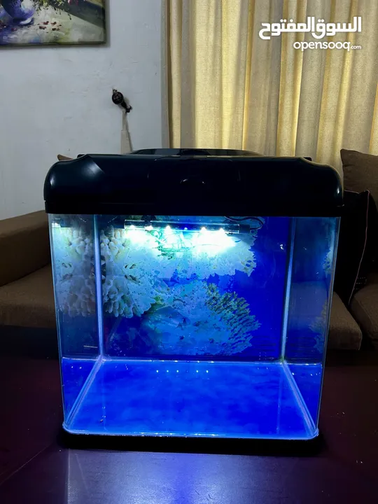 Aquarium Tank for Sale!