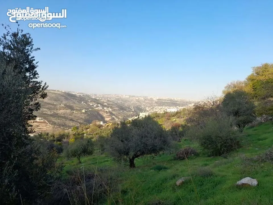 ارض مميزة مطلة ابو السوس غرب عمان عدة قطع في المنطقة.