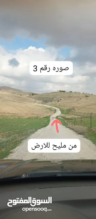ارض زراعية للبيع  .. قطعه زراعية .   محافظة مادبا . ذيبان . مليح . حوض العلاقي . مساحة اربع دنمات