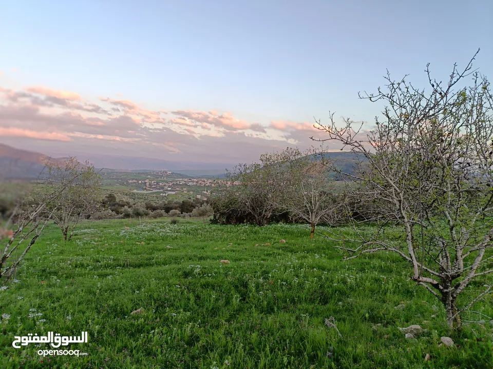 مشروع سلحب الاول