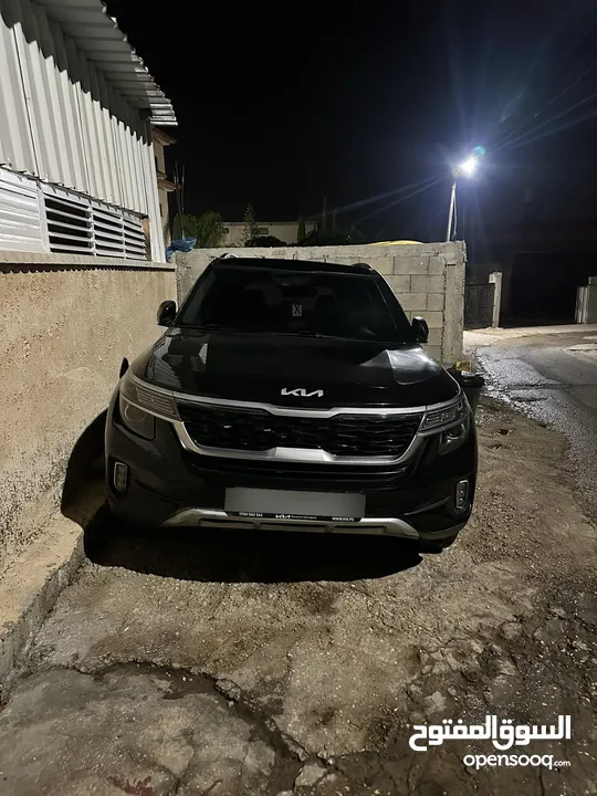 كايا سيلتوس