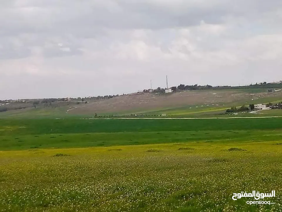مادبا ماعين غرابيات ام راسين قطعة ارض زراعية بمنطقة هادئة و مميزة بمساحة 5300 م واصل الخدمات