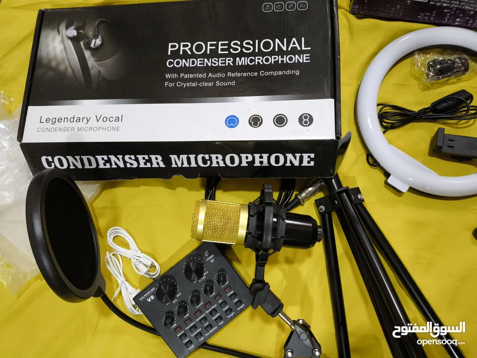 Condenser Microphone + Ring fill Light