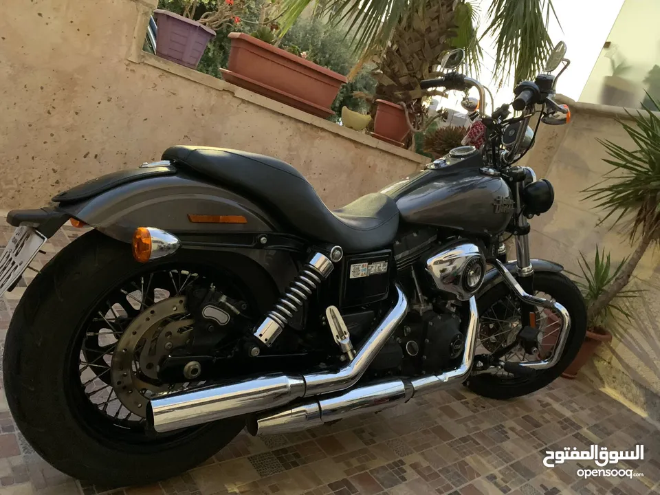 Streetbob ABS 1700cc harley Davidson نظيفه