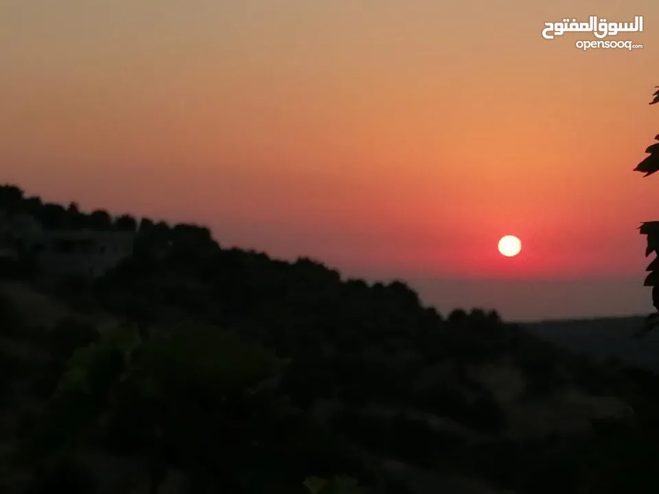 مزرعه مع بيت راقيه راس منيف موقع مميز مطله و بسعر مغري جدا