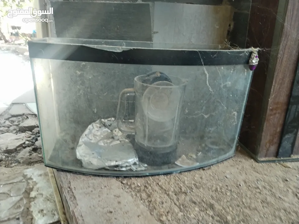 حوضين سمك مع قواعدهم
