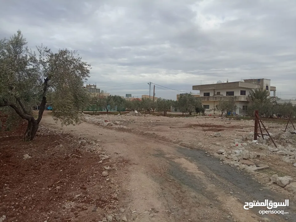 ارض سكنيه شارع فوعرا للبيع بسعر مغري جدا