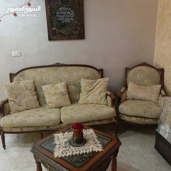 كنباتات بحاله جيده