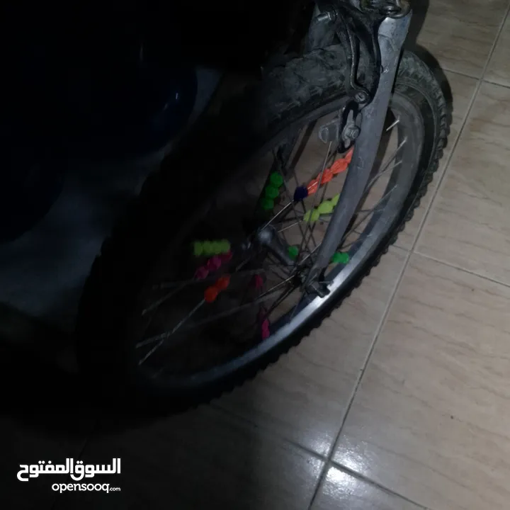 بسكليت ياباني